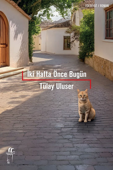 İki Hafta Önce Bugün resmi