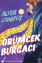 Örümcek Burgacı resmi