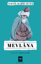 Mevlana resmi