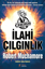 Cherub 5 - İlahi Çılgınlık resmi