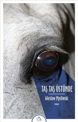 Taş Taş Üstünde resmi