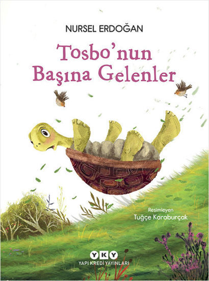 Tosbo’nun Başına Gelenler resmi