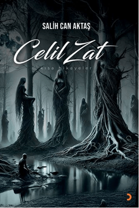 Celil Zat resmi