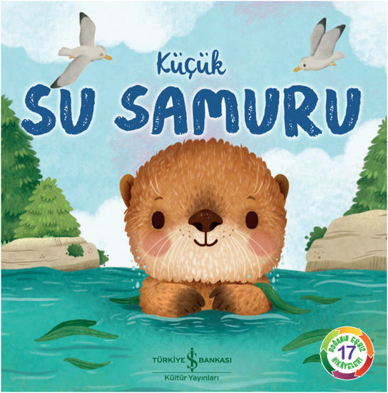 Küçük Su Samuru resmi