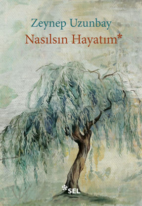 Nasılsın Hayatım resmi