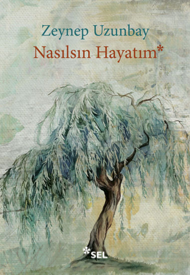 Nasılsın Hayatım resmi