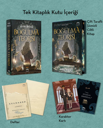 Boğulma Teorisi - Ciltli resmi