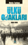 Ülkü Ocakları resmi