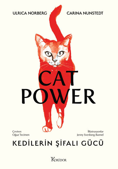 Cat Power - Kedilerin Şifalı Gücü resmi