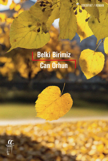 Belki Birimiz resmi