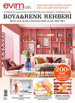 Evim Özel(Boya Ve Renk Rehberi)-2025/01 resmi