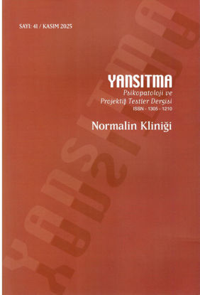 Yansıtma Sayı-41 resmi