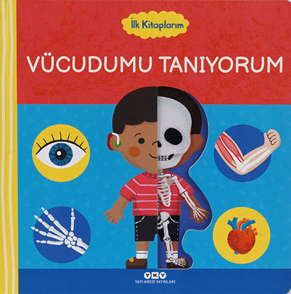 İlk Kitaplarım - Vücudumu Tanıyorum resmi