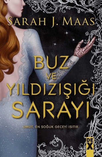 Buz ve Yıldızışığı Sarayı 4 resmi