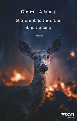 Sözcüklerin Anlamı resmi