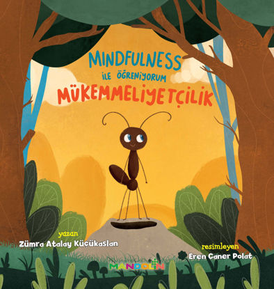 Mindfulness ile Öğreniyorum - Mükemmelliyetçilik resmi