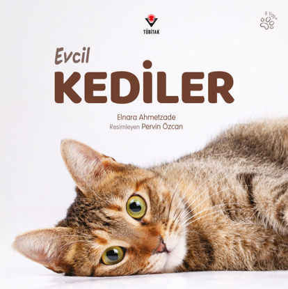 Evcil Kediler resmi