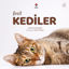 Evcil Kediler resmi
