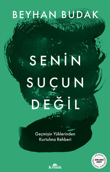 Senin Suçun Değil resmi