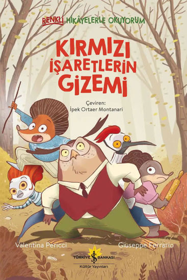 Kırmızı İşaretlerin Gizemi resmi