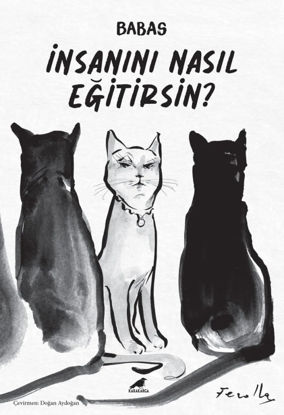 İnsanını Nasıl Eğitirsin? resmi