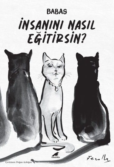 İnsanını Nasıl Eğitirsin? resmi