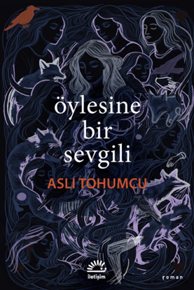 Öylesine Bir Sevgili resmi