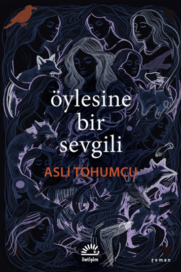 Öylesine Bir Sevgili resmi