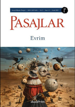 Pasajlar - 13 Evrim resmi