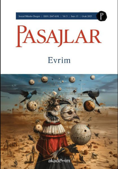 Pasajlar - 13 Evrim resmi