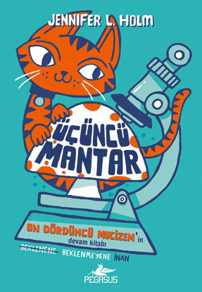 Üçüncü Mantar resmi