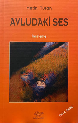 Avludaki Ses resmi