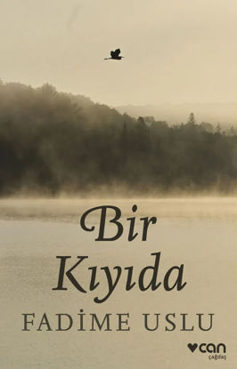 Bir Kıyıda resmi