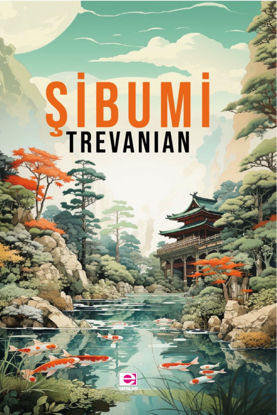 Şibumi resmi