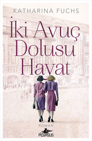 İki Avuç Dolusu Hayat resmi