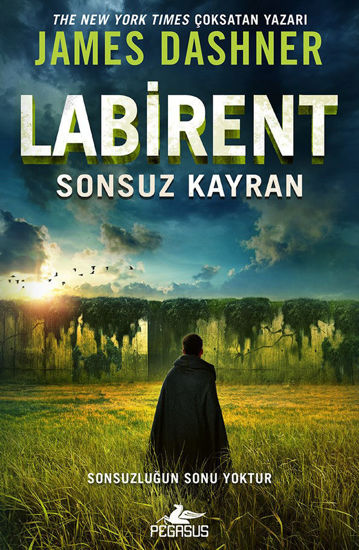 Labirent - Sonsuz Kayran resmi