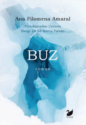 Buz resmi