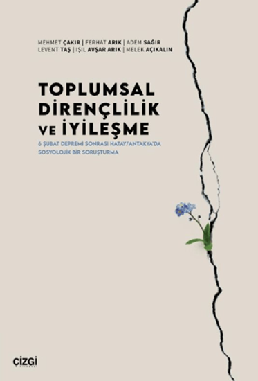 Toplumsal Dirençlilik ve İyileşme resmi