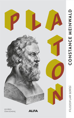 Platon resmi