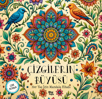 Çizgilerin Büyüsü - Her Yaş İçin Mandala resmi