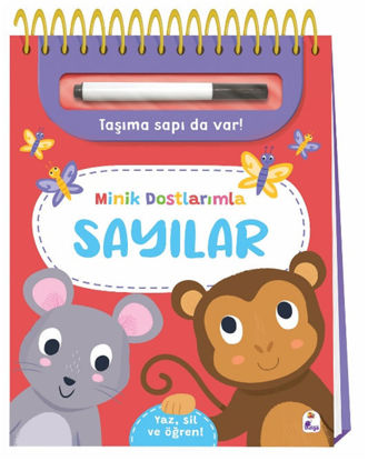 Minik Dostlarımla - Sayılar resmi