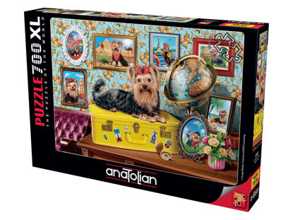 Yorkshire Terrier 700P resmi