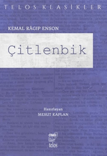 Çitlenbik resmi