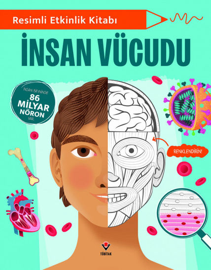 Resimli Etkinlik Kitabı - İnsan Vücudu resmi
