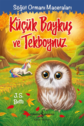Küçük Baykuş ve Tekboynuz – Söğüt Ormanı Maceraları resmi