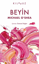 Kılavuz - Beyin resmi