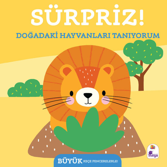 Sürpriz ! – Doğadaki Hayvanları Tanıyorum resmi