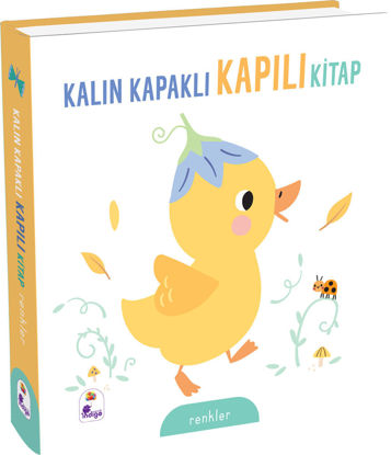 Kalın Kapaklı Kapılı Kitap - Renkler resmi