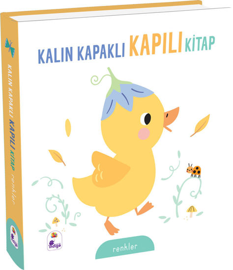 Kalın Kapaklı Kapılı Kitap - Renkler resmi