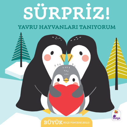Sürpriz ! – Yavru Hayvanları Tanıyorum resmi